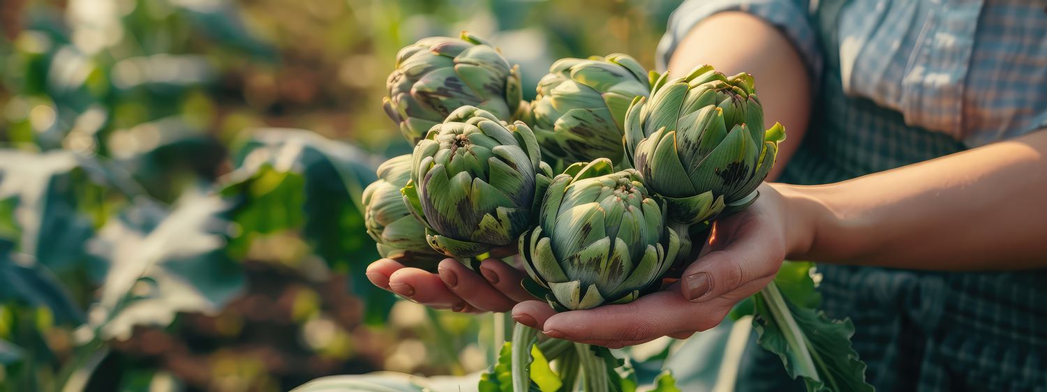 Bitter nötig – Bitterstoffe sind das neue Detox