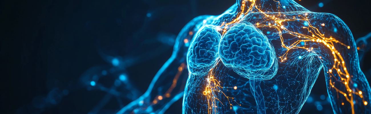 Das Lymphatische System