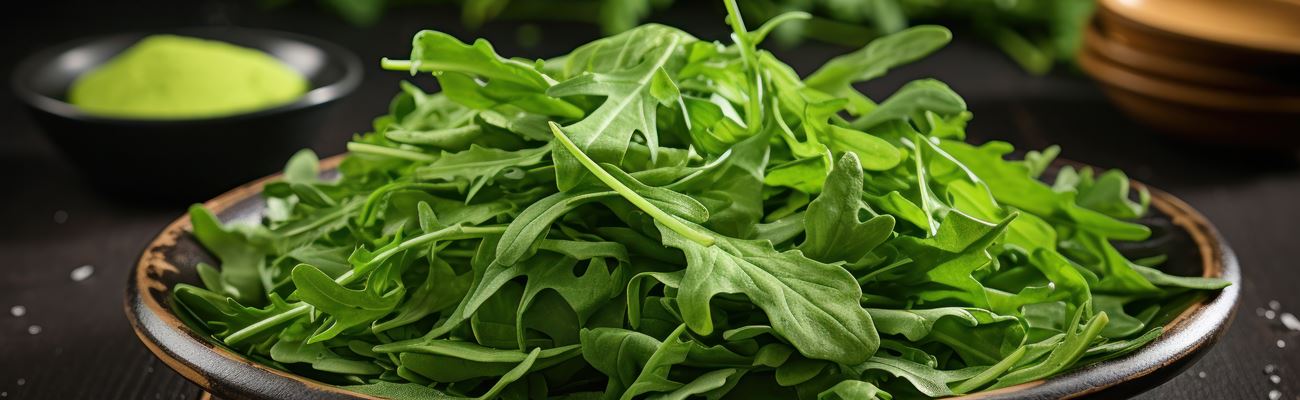 Rucola