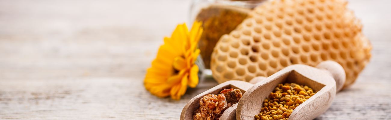 Immunsystem und Propolis