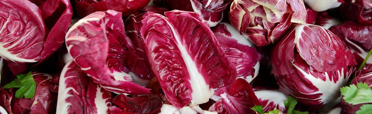 Radicchio