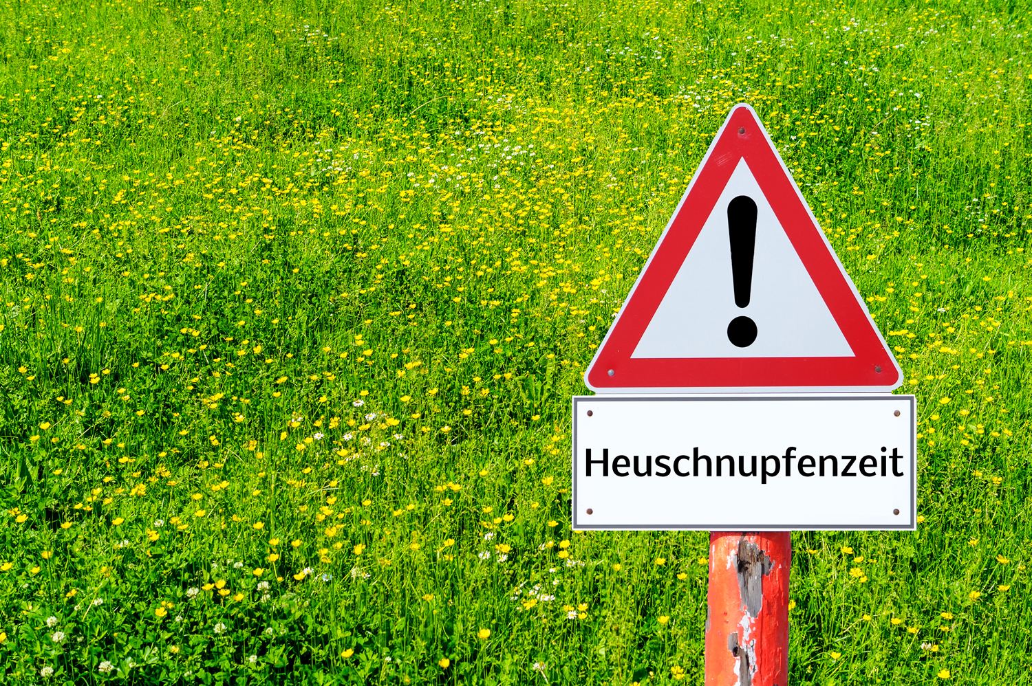 Hier kommt dein Wegweiser durch die Heuschnupfen-Saison.