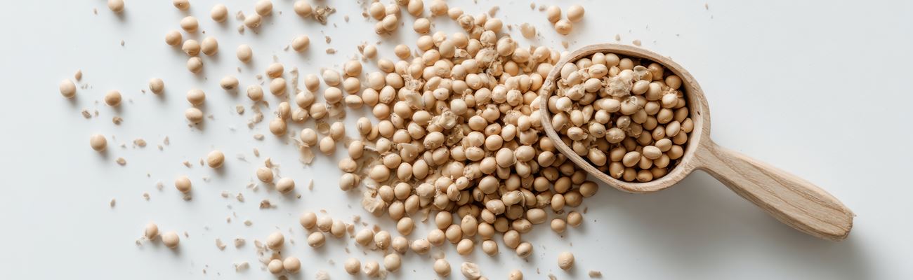 Nattokinase – das Enzym für deinen Blutfluss.
