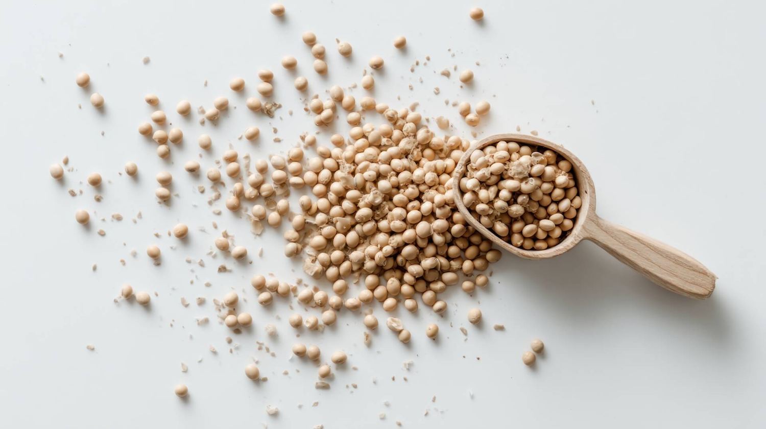 Nattokinase – das Enzym für deinen Blutfluss.