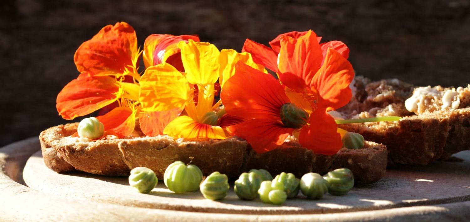Natürlich stark mit Tropaeolum majus