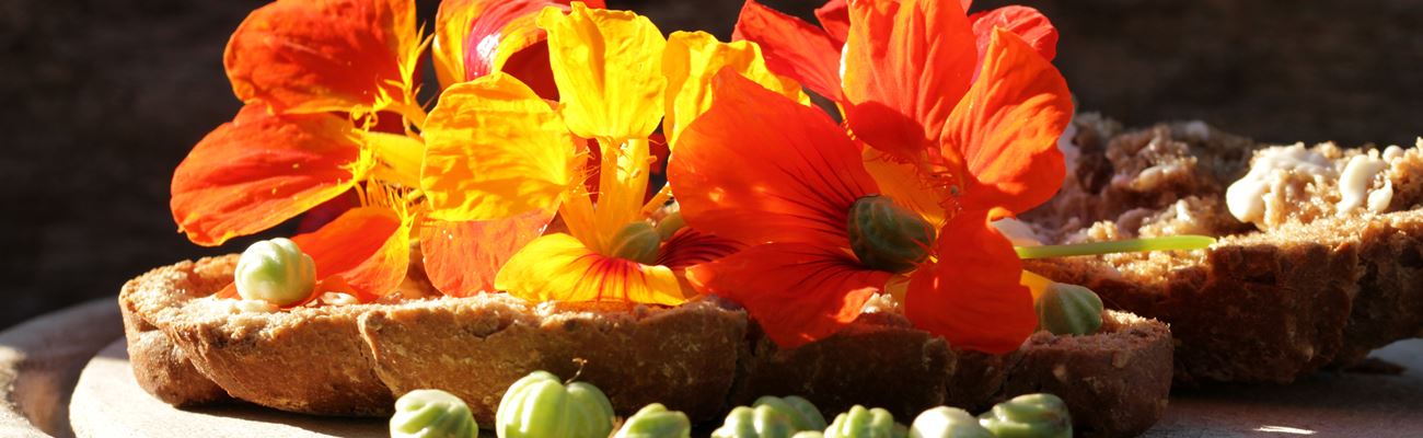 Natürlich stark mit Tropaeolum majus