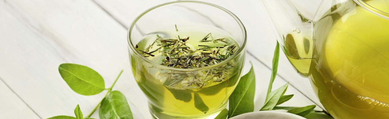 Immunsystem und grüner Tee